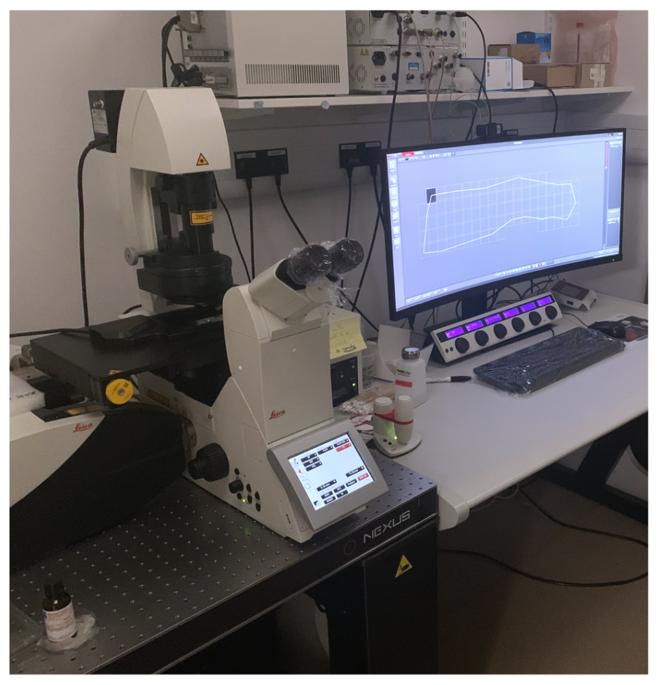 Leica SP8 WL inverted confocal GIIF